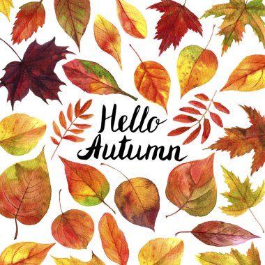 Sonbahar yapraklı arkaplan