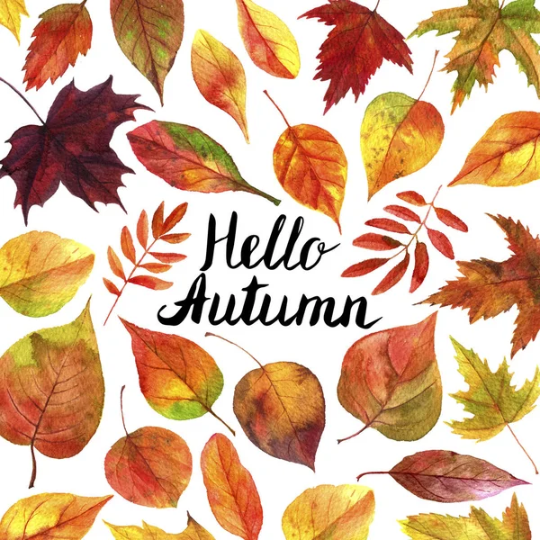 Sonbahar yapraklı arkaplan