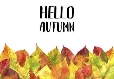 Sonbahar yapraklı arkaplan