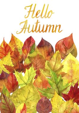 Sonbahar yapraklı arkaplan