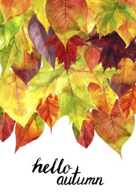 Sonbahar yapraklı arkaplan