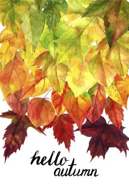 Sonbahar yapraklı arkaplan