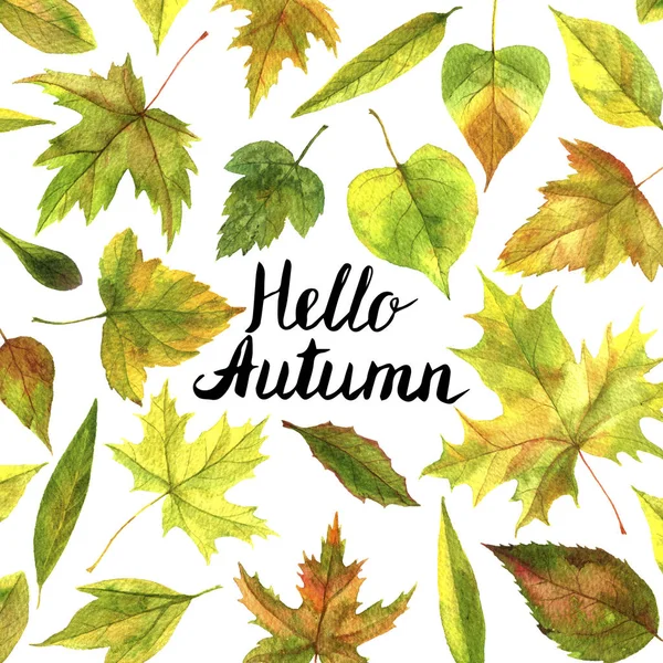 Sonbahar yapraklı arkaplan