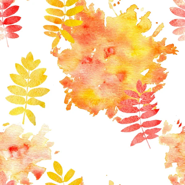 Seamless pattern with rowan leaves silhouettes — Stock Photo, Image
