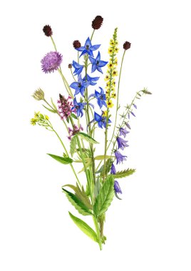 Sulu Boya çizim çiçek ve bitki