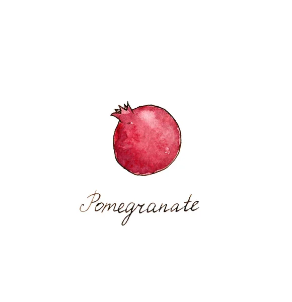 Akvarel kreslení granátové jablko — Stock fotografie