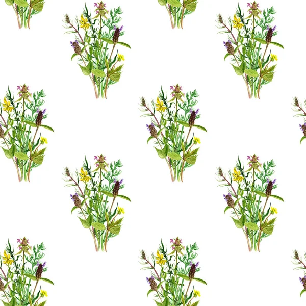 花や植物とのシームレスなパターン — ストック写真