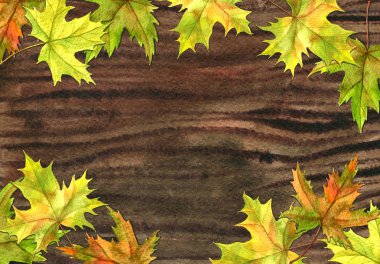 Sulu Boya ahşap doku