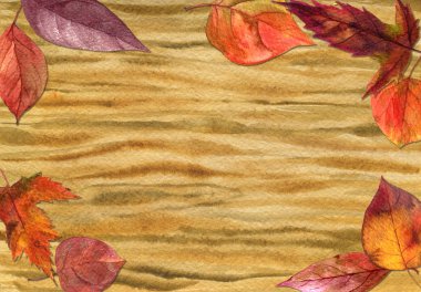 Sulu Boya ahşap doku