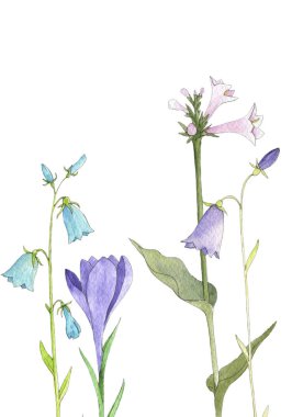 suluboya çiçekler çiziyor