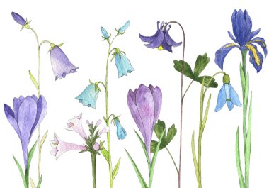 suluboya çiçekler çiziyor