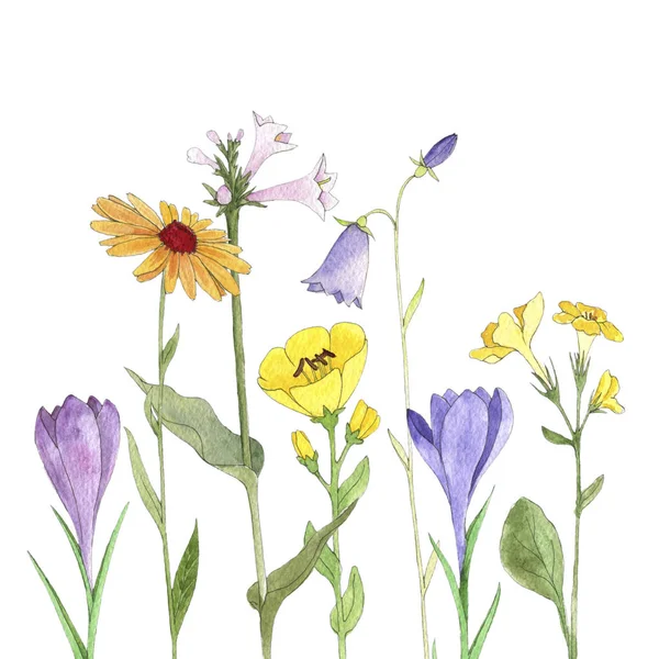 Акварель малювання квіти — стокове фото