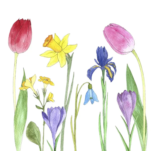 suluboya çiçekler çiziyor