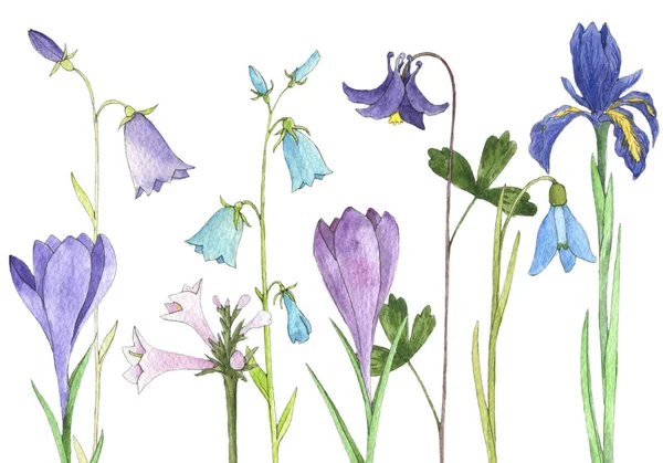 suluboya çiçekler çiziyor