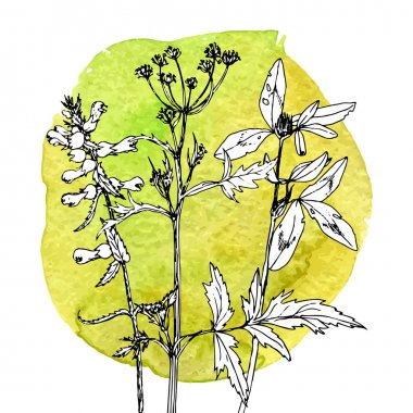 Arka plan bitki ve çiçek çizim ile