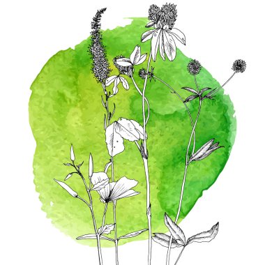 Arka plan bitki ve çiçek çizim ile