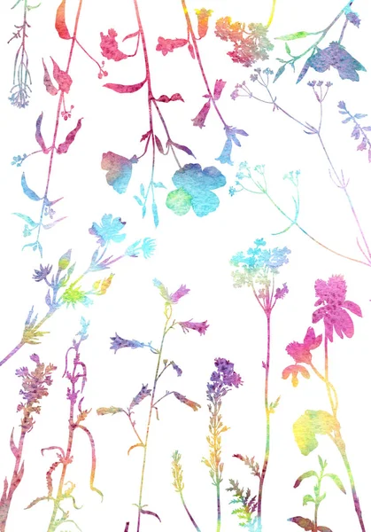 ハーブと花を描くと背景 — ストック写真