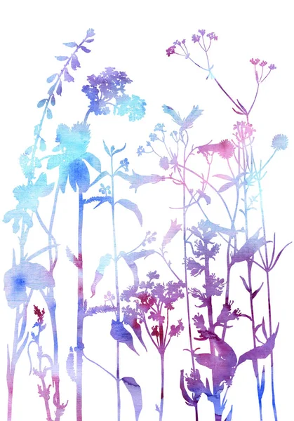 Fondo con el dibujo de hierbas y flores — Foto de Stock