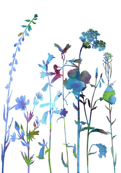 Latar belakang dengan gambar herbal dan bunga — Stok Foto