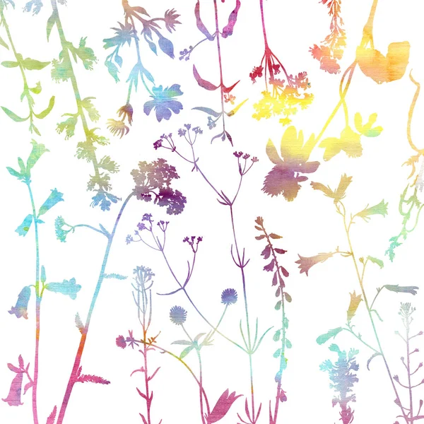 Fondo con el dibujo de hierbas y flores —  Fotos de Stock