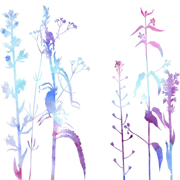 Fondo con el dibujo de hierbas y flores — Foto de Stock