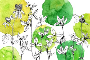 Arka plan bitki ve çiçek çizim ile