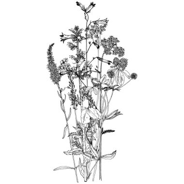 Arka plan bitki ve çiçek çizim ile