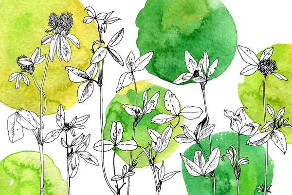 Arka plan bitki ve çiçek çizim ile