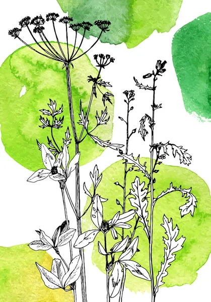 Arka plan bitki ve çiçek çizim ile