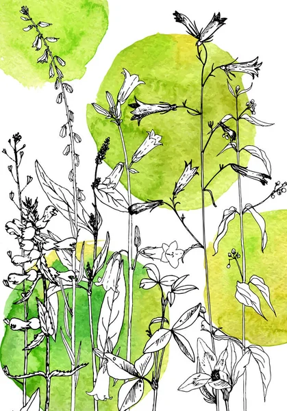 Arka plan bitki ve çiçek çizim ile