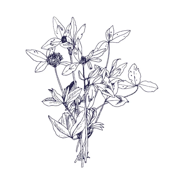 Fondo con el dibujo de hierbas y flores — Vector de stock