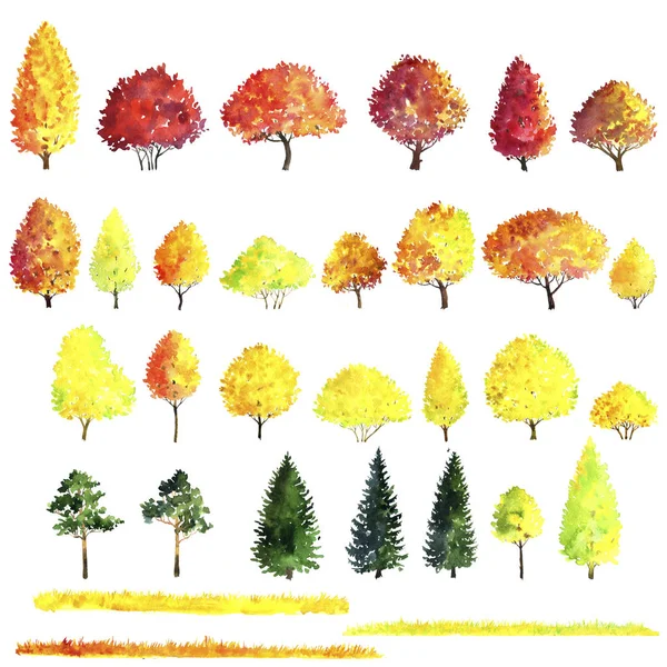 Conjunto de árboles de otoño dibujo por acuarela —  Fotos de Stock