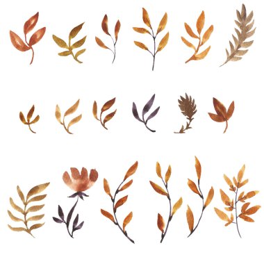 suluboya doodle bitki ve çiçekler