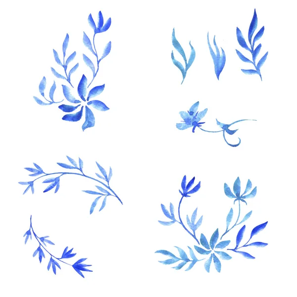 Acquerello doodle piante e fiori — Foto Stock
