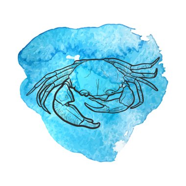 Vektör el çekilmiş Yengeç