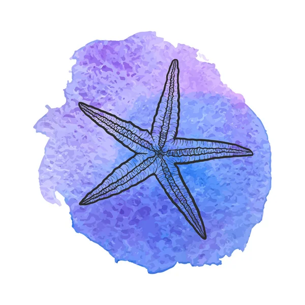 Vector estrella de mar — Vector de stock