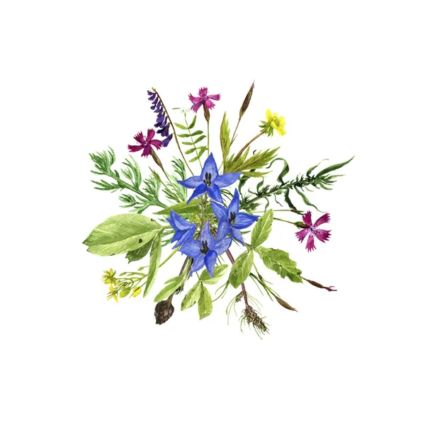 Aquarell, das Blumen und Pflanzen zeichnet — Stockfoto