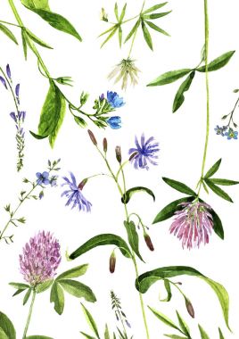 Sulu Boya çizim çiçek ve bitki