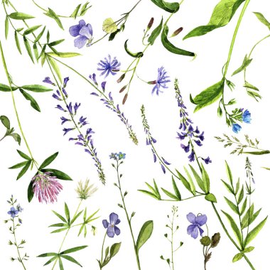 Sulu Boya çizim çiçek ve bitki