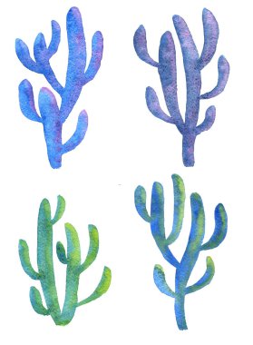 Sulu Boya çizim kaktüs