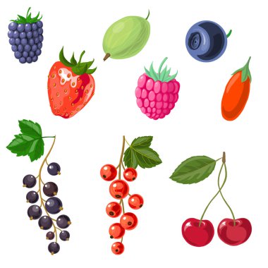 Siyah frenk üzümü Şubesi