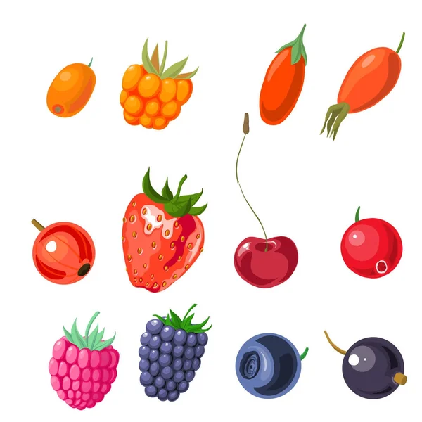 Vector set of berries — Stock Vector