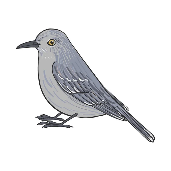 Mockingbird rysunek wektor — Wektor stockowy