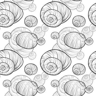 vektör kabukları ile seamless modeli