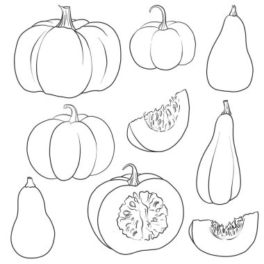 vektör çizim kabaklar