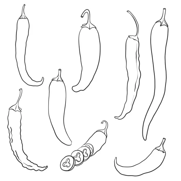 Vektorzeichnung Chilipfeffer — Stockvektor