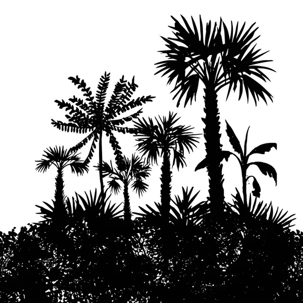 Paisaje vectorial con palmeras — Vector de stock