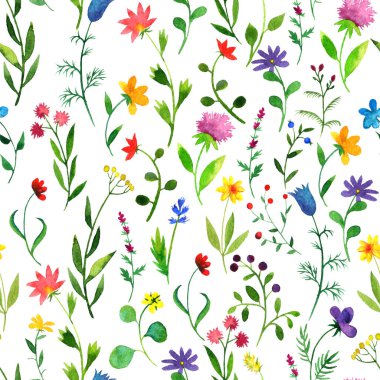 suluboya doodle bitki ve çiçekler ile Seamless Modeli