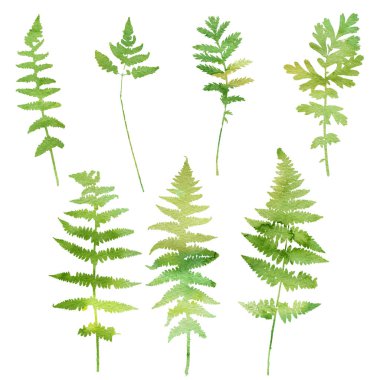 Bitkiler ve yaprakları siluetleri kümesi