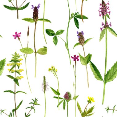 Sulu Boya çizim çiçek ve bitki ile Seamless Modeli